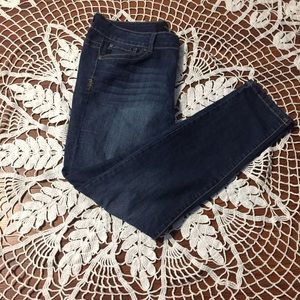 Torrid Jeans